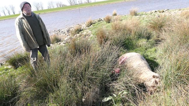 Klarheit erst in drei Wochen