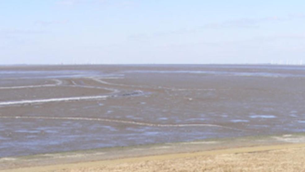 Die Vertiefung der Außenems rückt näher. Das erfüllt Naturschützer mit Sorge. © Foto: Szyska