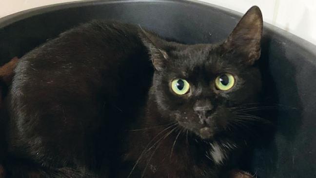 Götz ist sensibel und schüchtern