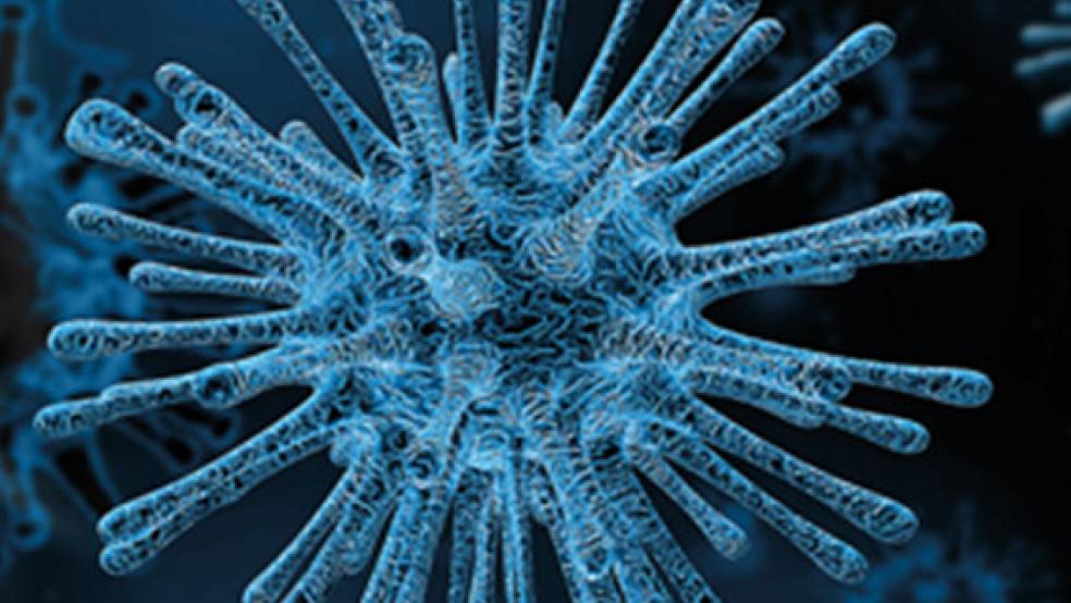In Emden ist eine 70-Jährige am Coronavirus gestorben. © Foto: pixabay
