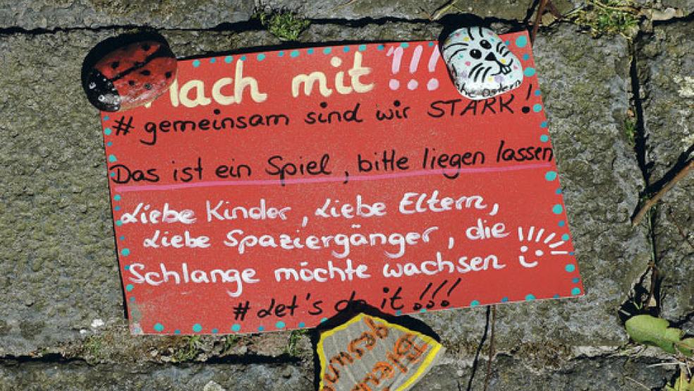 Unsere Bilder entstanden an der Matthäikirche in Bingum. © Foto: Szyska