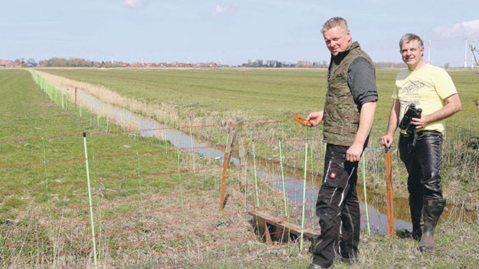 Der Betreuer des Gelege- und Kükenschutzzauns Jan Koopmann inspiziert zusammen mit Michael Steven den Zaun.  © Foto: Tamara Glasbrenner/NABU Ostfriesland