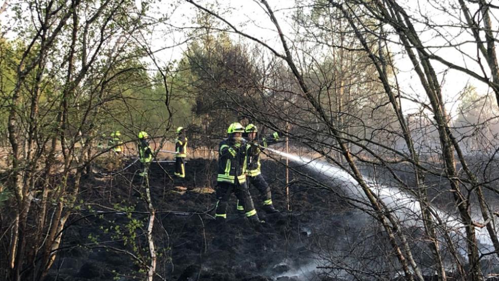 Im Gelände aktiv: 200 Feuerwehrleute waren gestern noch im Moor im Einsatz. © Foto: Müller
