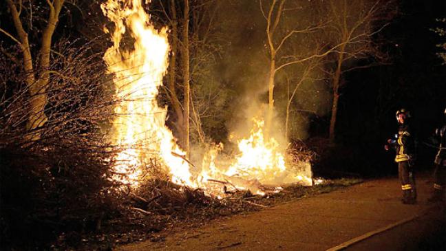 Grünschnitt steht lichterloh in Flammen