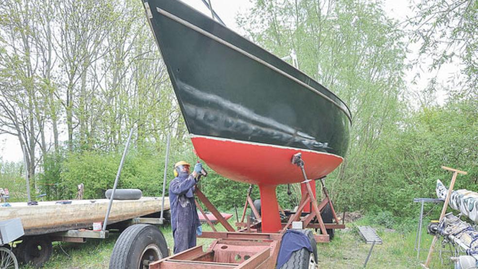 Neuer Anstrich: Nanno Schering aus Jemgum war gestern fleißig. Er segelt schon seit mehr als 60 Jahren. © Boelmann