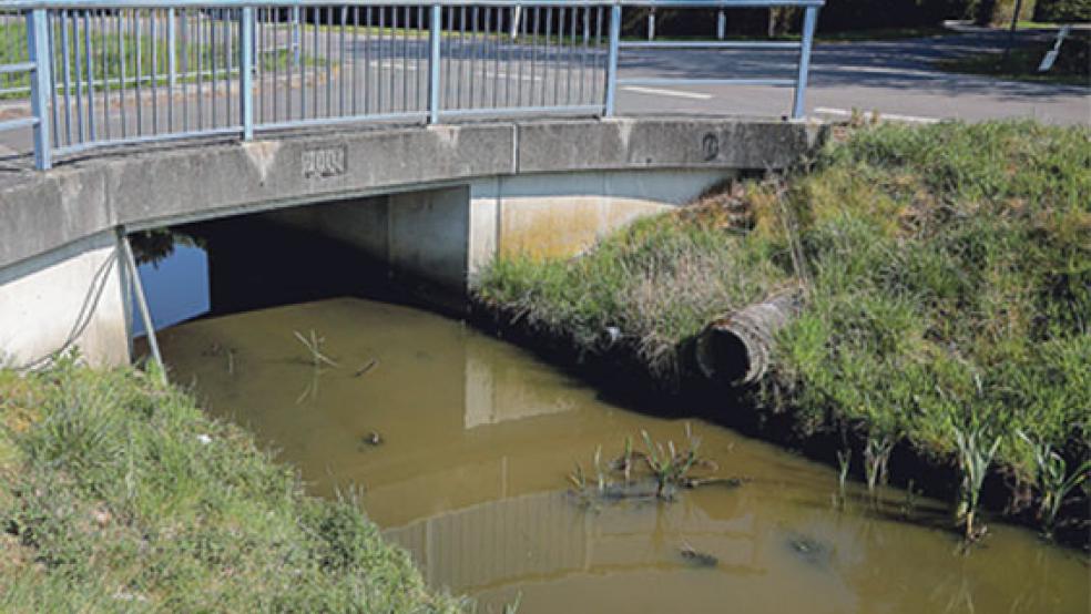Noch steht Wasser im Ringkanal an der Deichhauser Straße, allerdings deutlich weniger als sonst. Bei anhaltender Trockenheit könnte es jedoch wieder Probleme geben. © Foto: Banik
