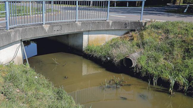 Sorgen durch sinkende Pegel