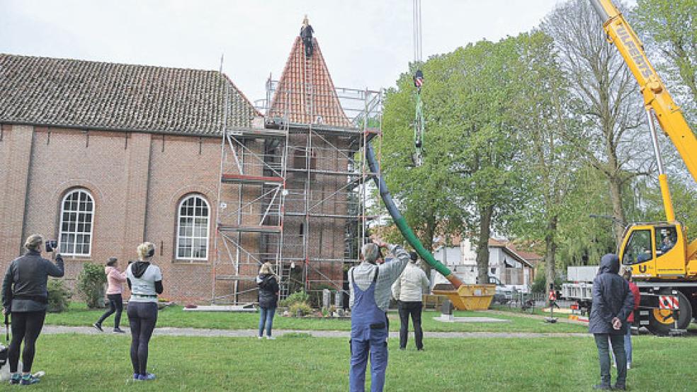 Der Wetterhahn ziert wieder die Spitze des Kirchturms. © Wolters