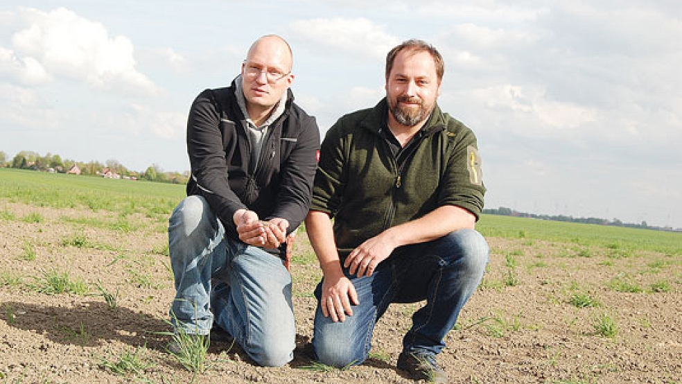 Mit Saatgut: Focko Johannes de Boer und Georg Penon vom Landwirtschaftlichen Naturverein (LNV). © Foto: Hoegen