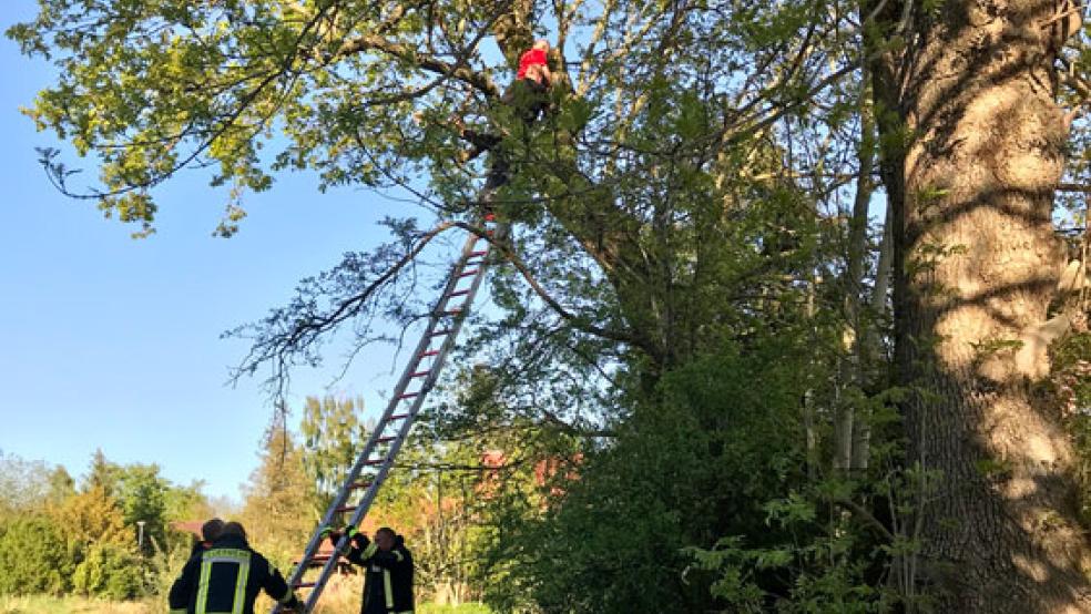 Dieses Abenteuer wird ein neunjähriger Junge wohl nicht so schnell vergessen. © Foto: Feuerwehr