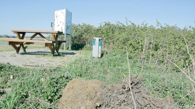 Wertvollen Lebensraum schützen