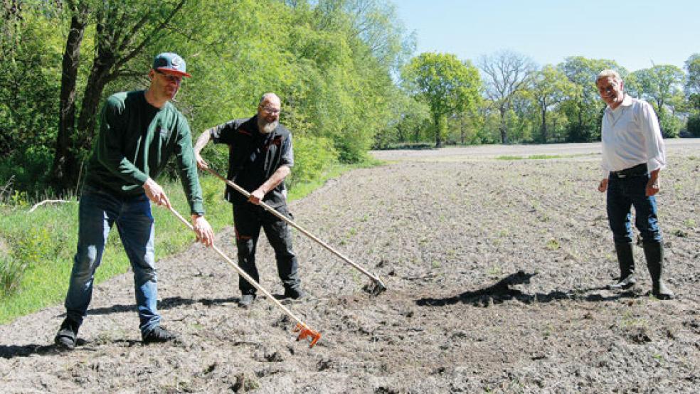 Aussäen auf eigenem Acker: Hans-Werner Rössing (rechts) wurde bei seiner Aktion von Jan Dickebohm und Reiner Veenhuis (Mitte) unterstützt. Landwirt Harm-Jan Koets hatte im Vorfeld den Ackerboden bearbeitet. © Foto: Hoegen