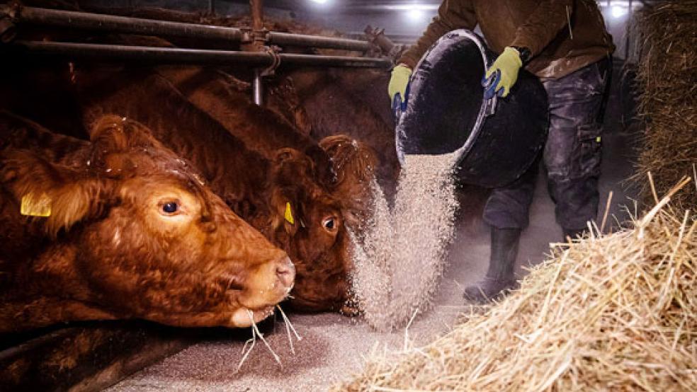 Beschäftigten in der Landwirtschaft droht laut IG Agrar ein Verlust ihrer Zusatzrente. © Foto: IG Agrat
