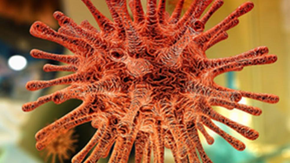 Ein 83-jähriger Mann aus dem Kreis Leer ist an den Folgen der Coronavirus-Infektion gestorben. © Symbolfoto: Pixabay