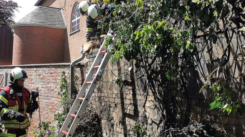 Die Feuerwehr war heute Mittag in der Auricher Innenstadt im Einsatz. © Foto: Feuerwehr
