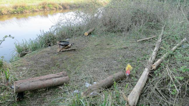 Klare Regeln im Wald missachtet