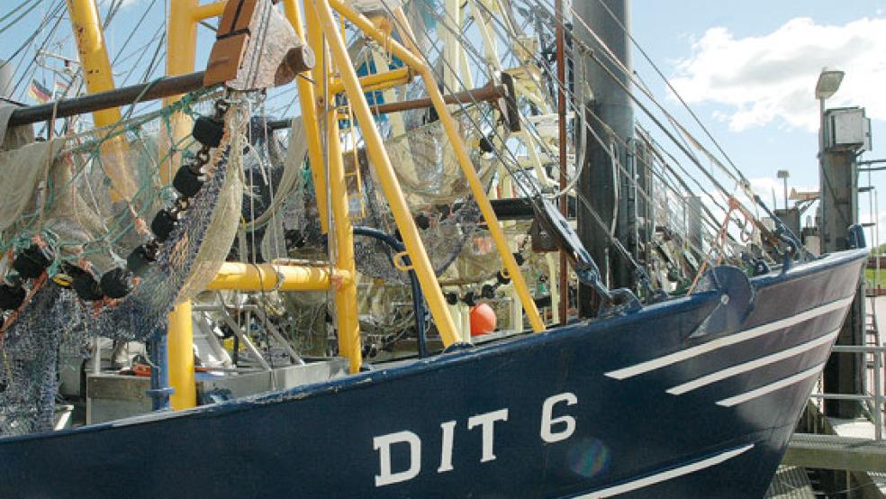 Im Hafen von Ditzum wird die Strom- und Wasserversorgung erst einmal nicht auf Vordermann gebracht.  © Foto: Szyska 