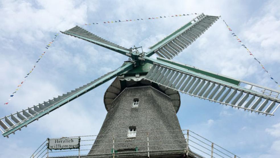 Seit mehr als einem Jahr stehen die Flügel des Galerieholländers in Jemgum still. Ein Lagerschaden an der Windrose ist die Ursache. © Kuper