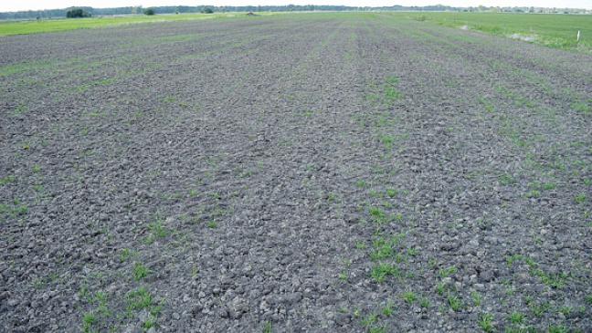 »Leider reicht der gefallene Regen noch nicht aus«