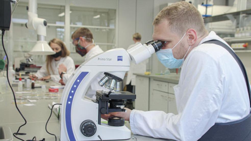 Mit Maske am Mikroskop untersuchen die Studierenden in der Lehrveranstaltung »Innenraumanalytik« Proben aus der Emder St. Walburga-Kirche auf Schimmelpilze. © Foto: Hochschule