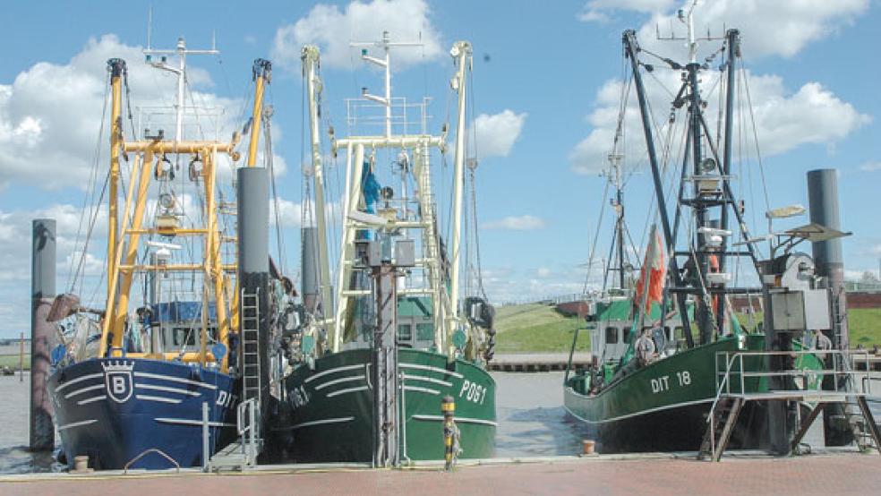 Die Flotte der Ditzumer Krabbenkutter liegt wegen der Corona-Krise die meiste Zeit im Hafen fest. © Foto: Szyska