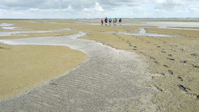 Einzigartiges vor der eigenen Haustür