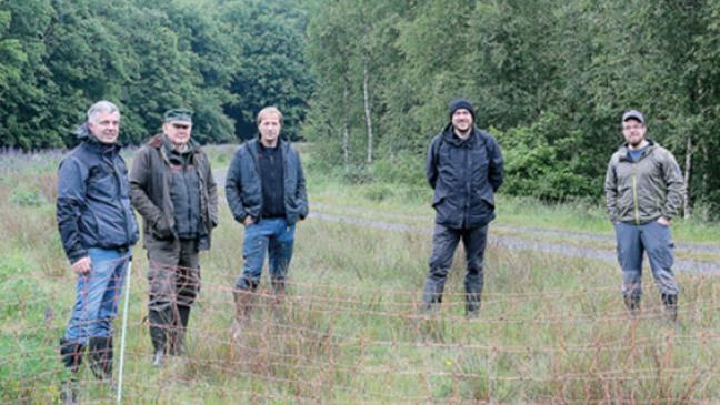 Botanischer Schatz im Berumfehner Wald