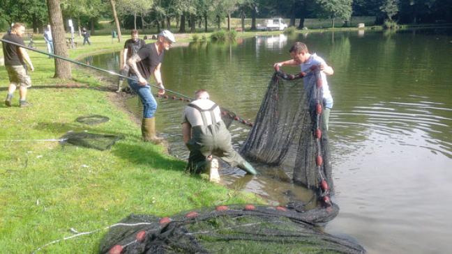 Fische aus Leeraner Julianenpark-Teich gerettet