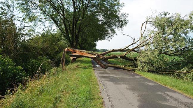 Unwetter sorgte für viel Kleinholz