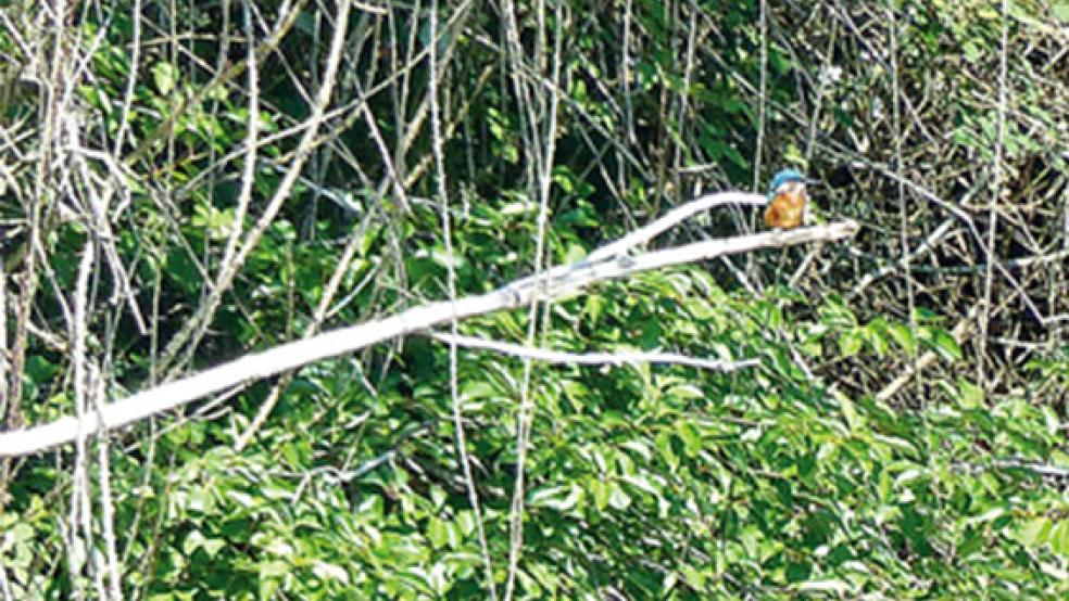  © Foto: Sabine Glowczewski