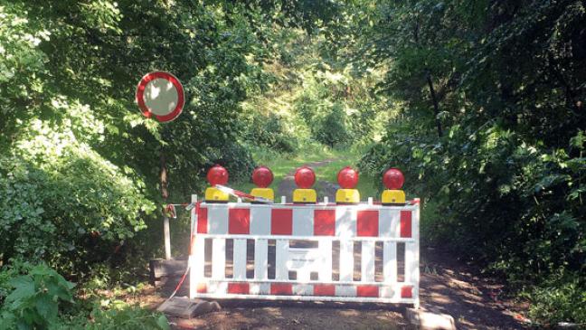 Forstarbeiten  verzögern sich