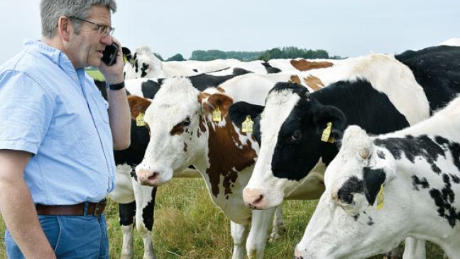 89 Hektar neuer Lebensraum für die Wiesenvögel