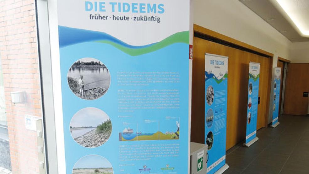 Auf fünf Schautafeln wird gezeigt, welche Leistungen die Ems für den Menschen erbringt. © Foto: Gemeinde Westoverledingen