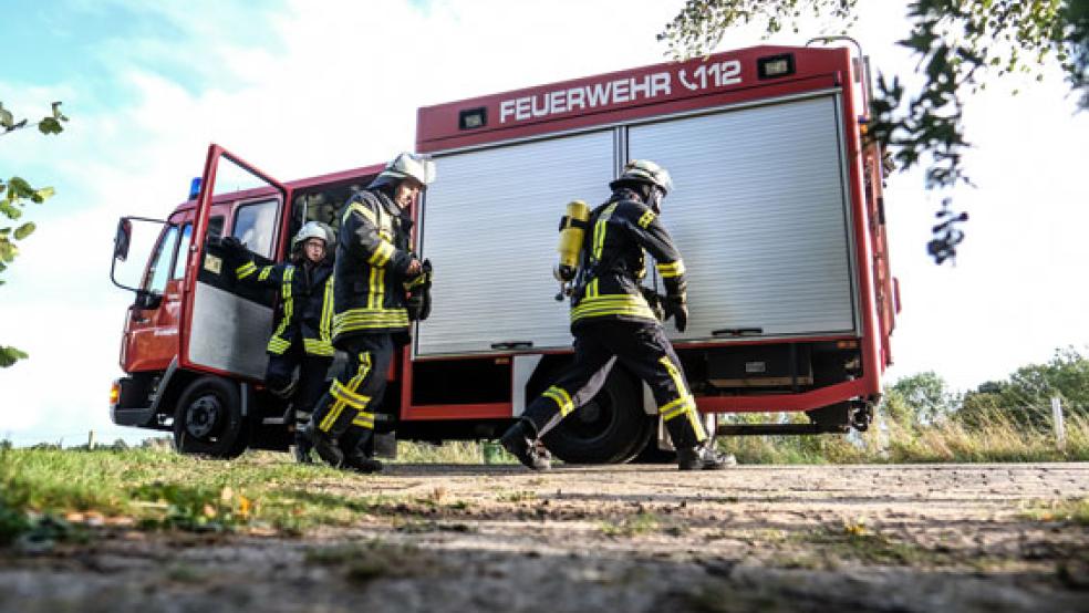 Die Feuerwehren aus Ditzum und aus Critzum befreiten zwei Rinder aus einer misslichen Lage. © Symbolfoto: Klemmer