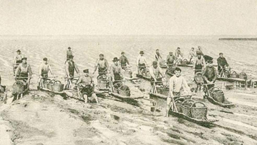 Dollartfischer aus Ditzumerverlaat mit ihren Kreiern: Das Foto stammt von einer Postkarte und wurde zirka im Jahre 1910 aufgenommen. © Foto: Bildarchiv der Ostfriesischen Landschaft, Aurich
