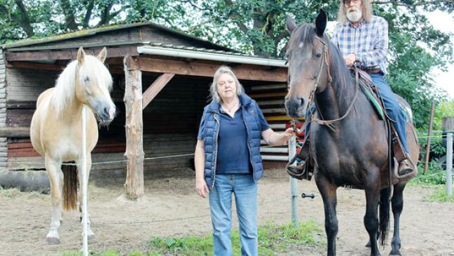 Im Sattel sitzen wie die Cowboys