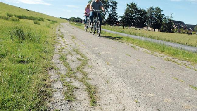 Weg am Emsdeich in Jemgum versackt