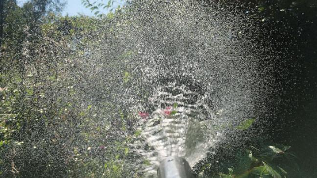 Bei anhaltender Hitze sorgsam mit Wasser umgehen