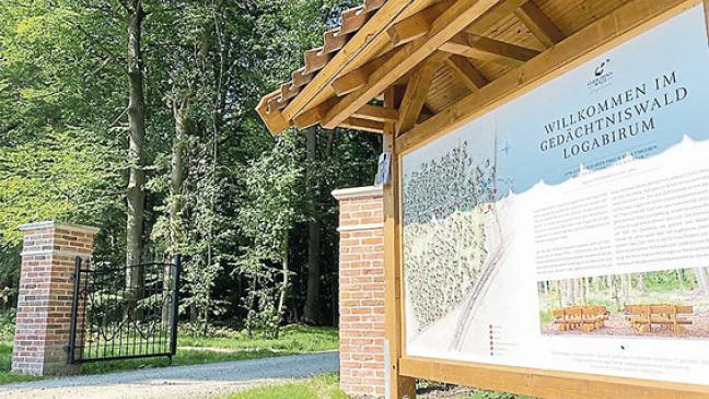 Die letzte Ruhe unter Bäumen finden