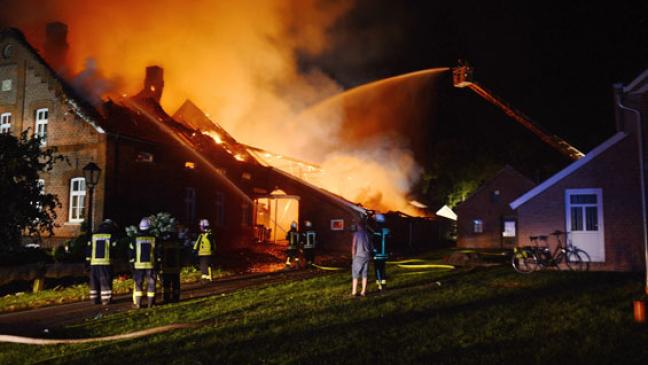 Zahlreiche Tiere sterben in den Flammen