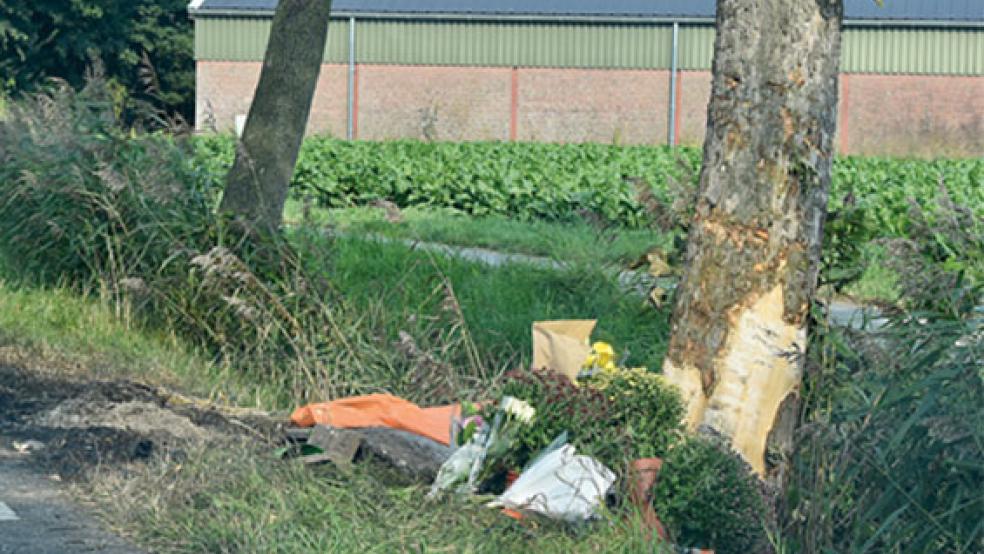 Am Ort des Unfalls mit drei Toten und einer schwerverletzten Frau zwischen Finsterwolde und Ganzedijk wurden Blumen niedergelegt. © Foto: Kuper