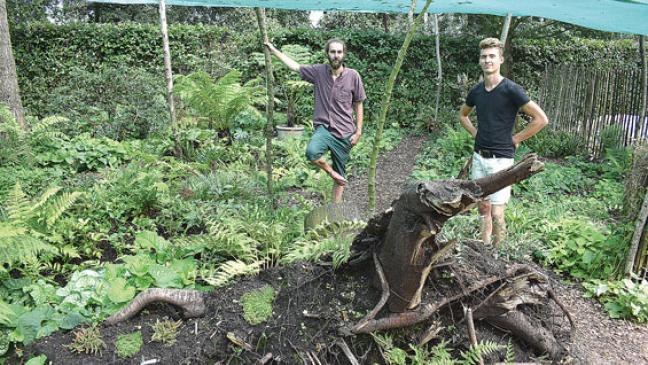 Garten bietet Ruhe und Kraft im Corona-Jahr