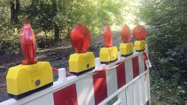 Forstarbeiten im Stadtwald verzögern sich