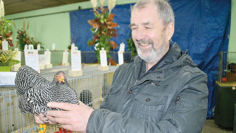 Kann dieses Jahr eine Geflügelschau in Weener stattfinden, so wie hier 2019 mit Vereinsmeister Luitjen Kettler mit einer gestreiften Zwerg-Wyandotte? Darüber wollen die Mitglieder des RGZV am kommenden Donnerstag beraten. © Foto: Himstedt