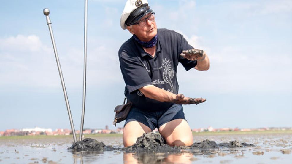 Heino Behring, Wattführer, hockt im Watt vor der Nordseeinsel Juist. Schon als kleiner Junge war der 72-Jährige unterwegs im Watt vor Juist. Seit genau 40 Jahren teilt Wattführer Heino sein Wissen auf Wattwanderungen, für viele Urlauber gehört eine Tour mit ihm zu den Inselferien. . © Foto: Sina Schuldt/dpa