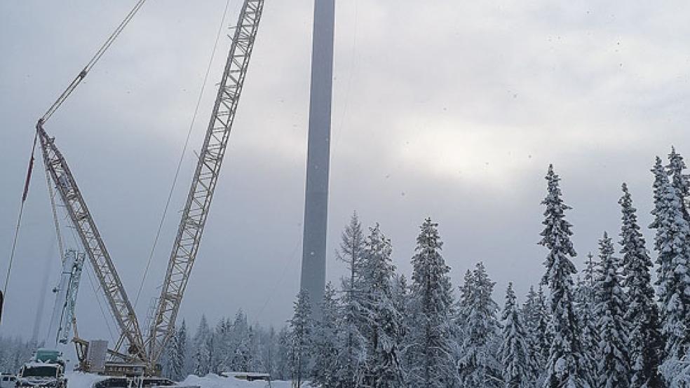 Der Windpark entsteht zurzeit in der schwedischen Markbyg­den-Region. © Foto: EFG Scandinavia