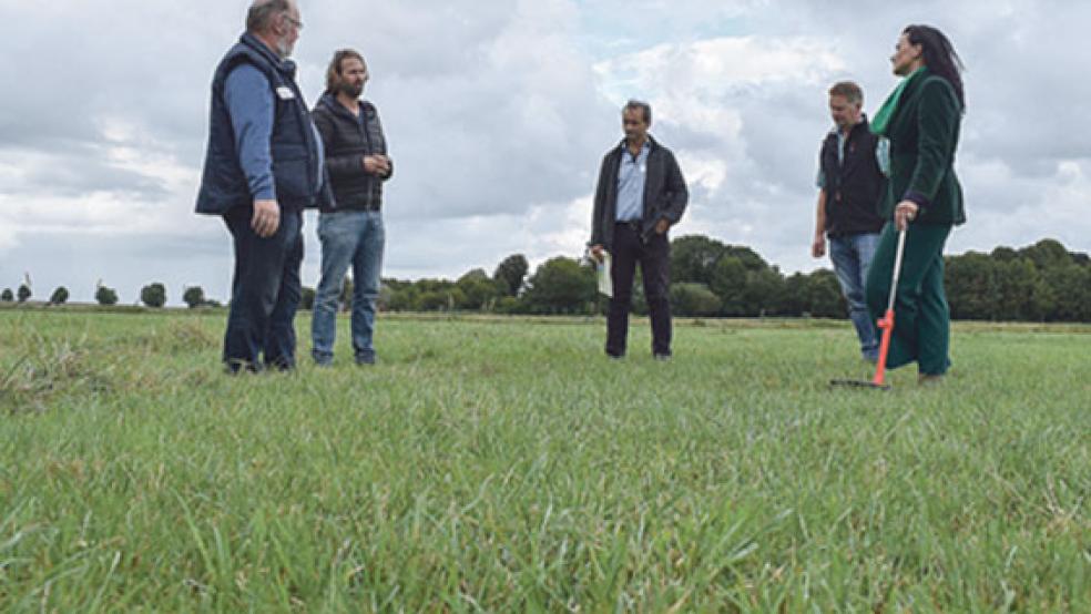 Fachsimpeln auf der Weide in Oldendorp (von links): Justus Ackermann (Landwirtschaftskammer und Vorstand »Grünlandzentrum«), Jendrik Holthusen, Dr. Arno Krause (beide »Grünlandzentrum«), der gastgebende Landwirt Klaus Borde und die CDU-Bundestagsabgeordnete Gitta Connemann. © Fotos: Kuper