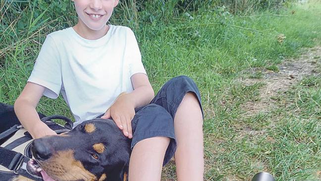 Eine Familie für »Obelix«