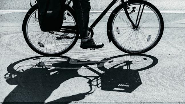 Dieb bietet Rad im Internet an