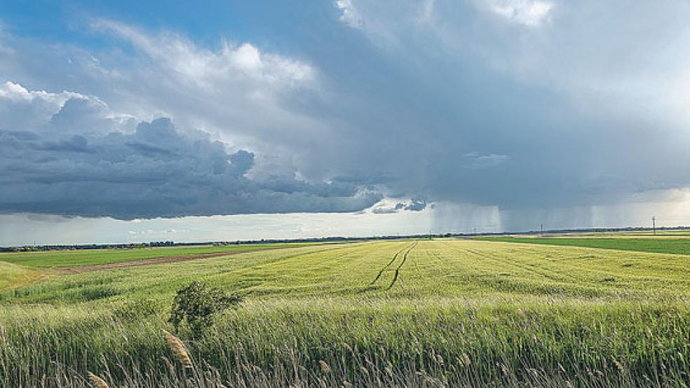 »Wir werden einer Ausweisung der betroffenen Flächen als Naturschutzgebiet nicht zustimmen«, so CDU-Mann Dieter Baumann aus Moormerland.  © Foto: Pixabay